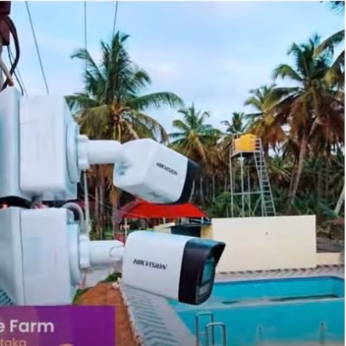 coconut groove Farm resort